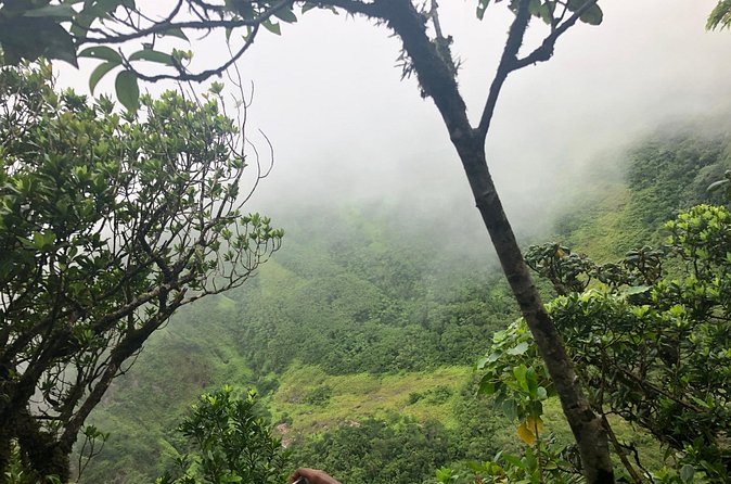 Mount Liamuiga Volcano Tours - What the Cancellation Record Means for You