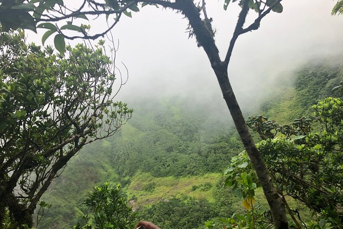 Mount Liamuiga Volcano Tours - My Verdict on This St. Kitts Volcano Tour