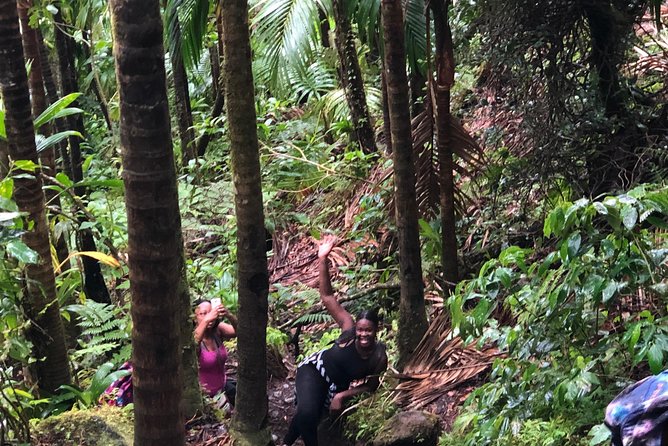 Mount Liamuiga Volcano Tours - Rocky Ground and a Five-Hour Effort