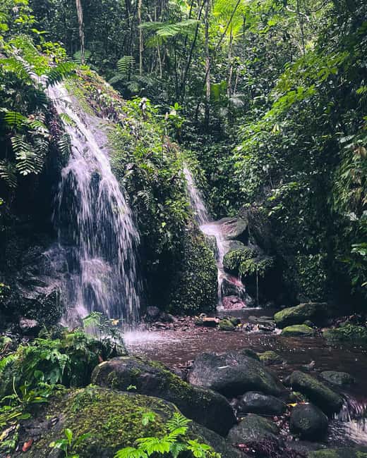 Nevis Waterfalls/Russel's Rest Hike - From your hotel to the forest trail
