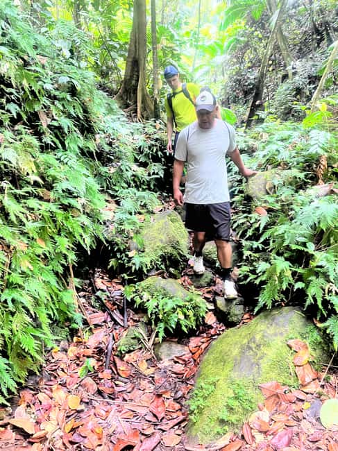 Nevis Waterfalls/Russel's Rest Hike - What the guides add to three hours