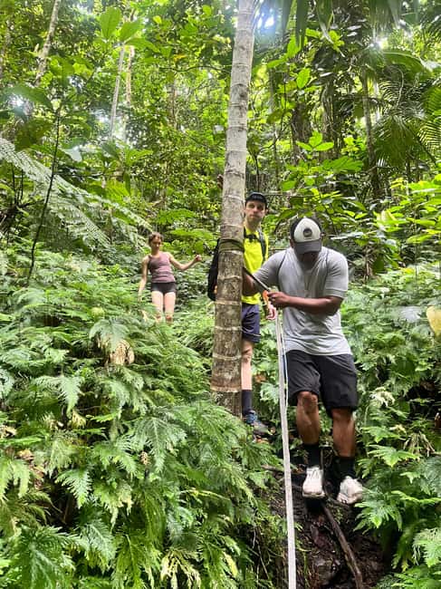 Nevis Waterfalls/Russel's Rest Hike - Who will enjoy this hike most?
