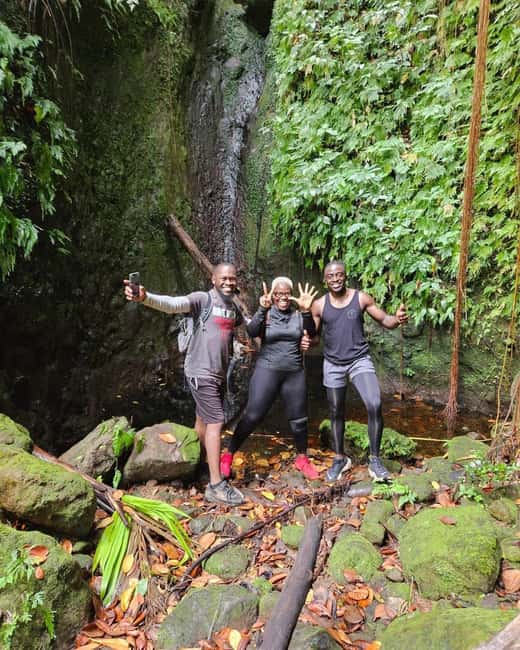 Nevis Waterfalls/Russel's Rest Hike - Walking beneath palms, cocoa, and bamboo
