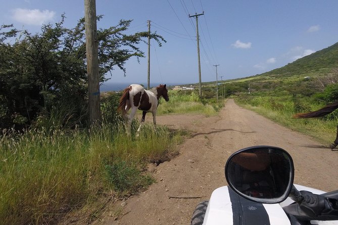 Off roading Morning Excursion - From Frigate Bay to the buggy trails