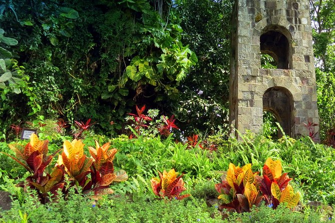 Panoramic Sightseeing Tour of St Kitts - Practical ways to get more from the morning