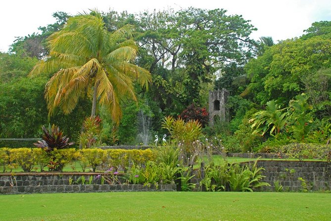 Panoramic Sightseeing Tour of St Kitts - Caribelle Batik and the plantation garden