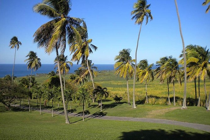 Private Tour in St. Kitts - A private way to see St. Kitts in one morning or afternoon