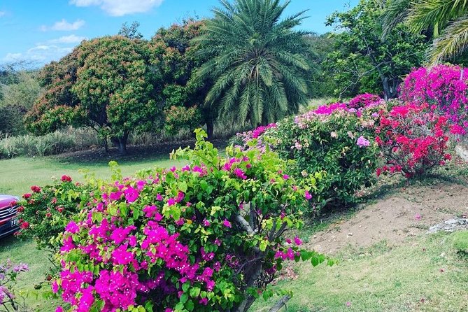 Private Tour in St. Kitts - Finishing at the beach can change the shape of the day