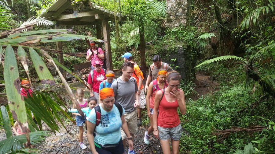 Rainforest Adventure - Key points to know before you go