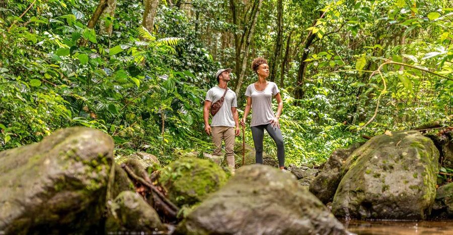 Rainforest Adventure - From Port Zante to the old sugar country