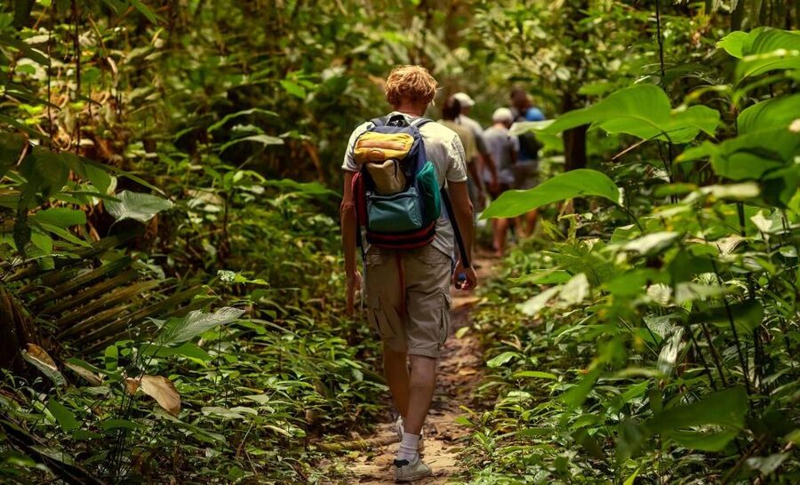Rainforest Adventure - Old Road Town and the plantation past
