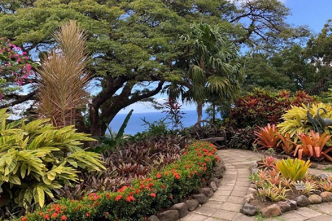 Rosevelt's Special Best of St. Kitts/Panoramic Tour - Timothy Hill and the Panoramic Payoff
