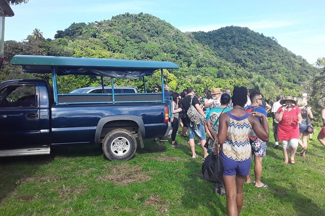Safari Extravaganza - Key details before you book