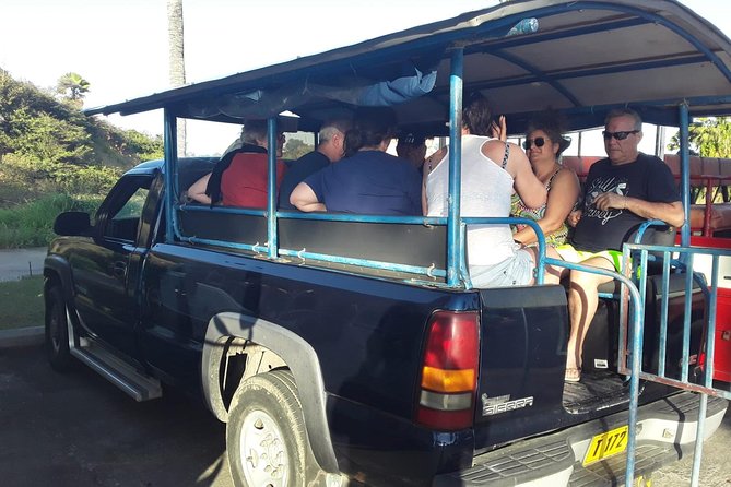 Safari Extravaganza - The Bayfords Mountain viewpoint at 1,000 feet