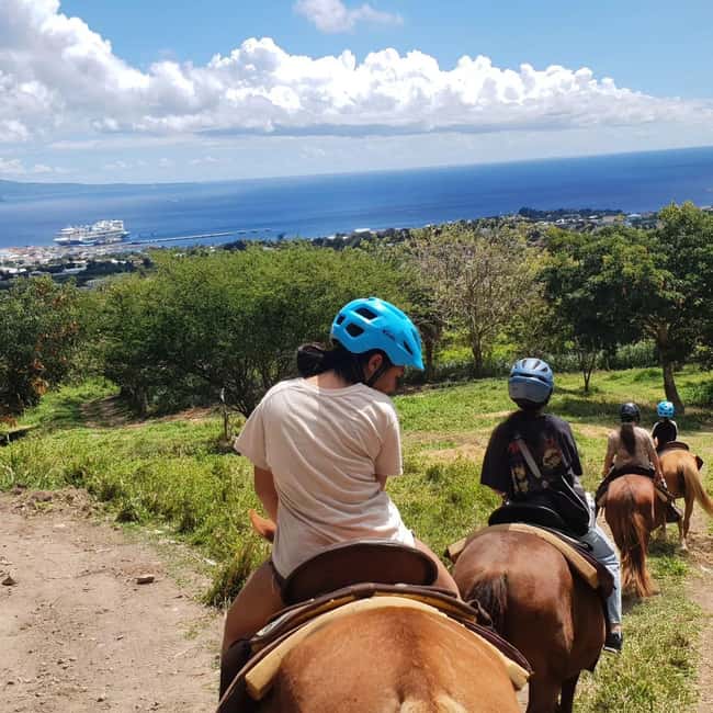 Scenic Horseback Trail - The 45-minute ride to the countryside