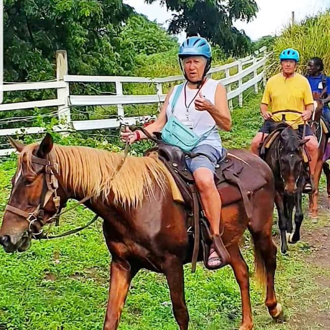 Scenic Horseback Trail - Tropical plants, wildlife, and seasonal fruit
