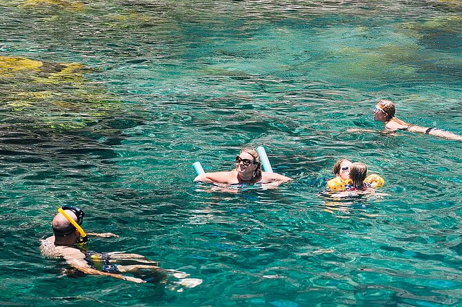 Snorkel Lunch & Lounge: Bluewater or Snorkel and Lunch: Leeward - A lesson for beginners, with gear already waiting