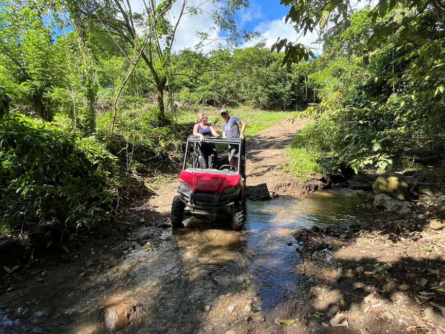 St. Kitts:Countryside Dune Buggy Tour - Who Should Book This Ride