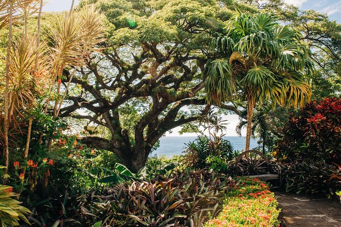 St. Kitts Full Island Excursion - Why this private St. Kitts tour works well