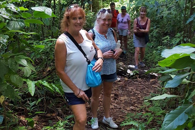 St. Kitts Half-Day Rainforest Tour - Key points to know before you book
