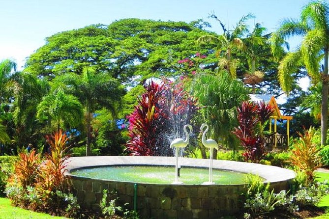 St Kitts Island Tour (Reconfirm Ship or Hotel) - Why this short St Kitts tour works