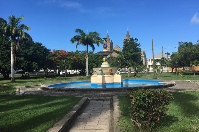 St Kitts Island Tour (Reconfirm Ship or Hotel) - Who should book this St Kitts island tour?