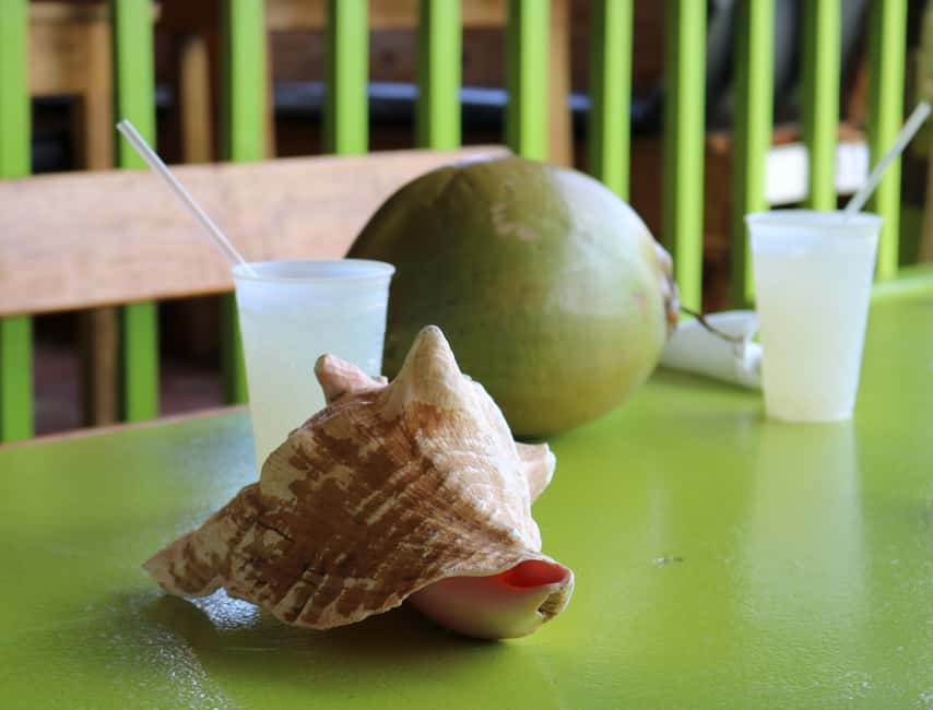 St. Kitts: Nevis Island Tour and Beach Time with Lunch - Hamilton House and a short look at the past