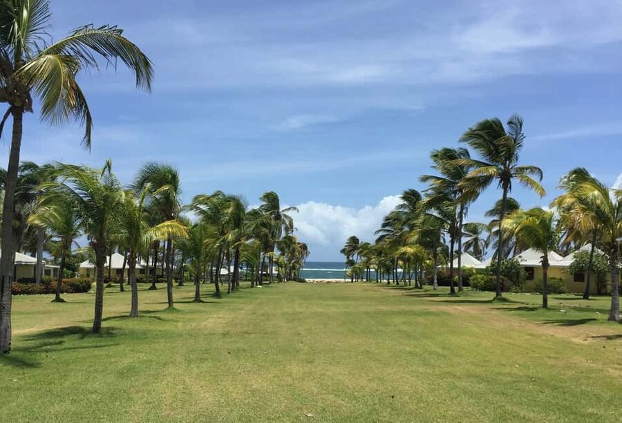 St. Kitts: Nevis Island Tour and Beach Time with Lunch - Seeing Nevis by air-conditioned van