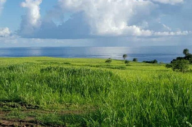 St Kitts Rainforest Nature Tour - Pickup, meeting points, and cruise-ship timing
