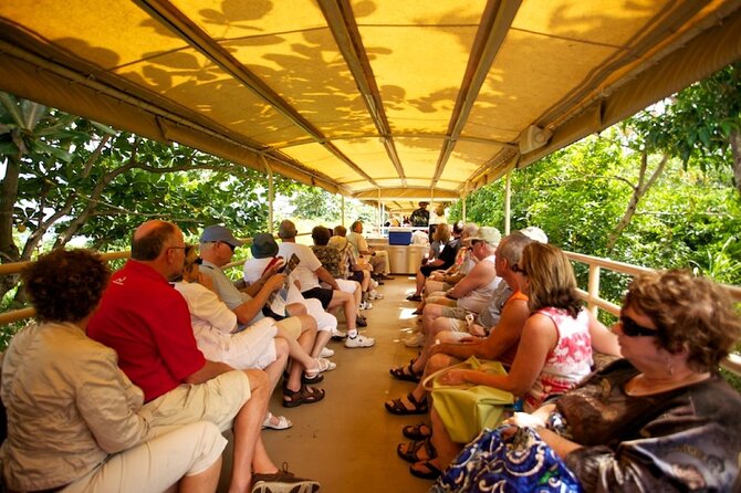 St. Kitts Scenic Train Experience - Choose your train deck carefully