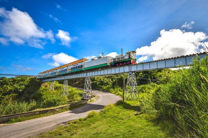 St Kitts Scenic Train Tour (Hotel or Ship) - Why the open-air deck is worth claiming