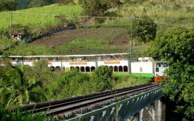 St. Kitts : Sugar Train with Pick Up & Drop-Off & Drinks
