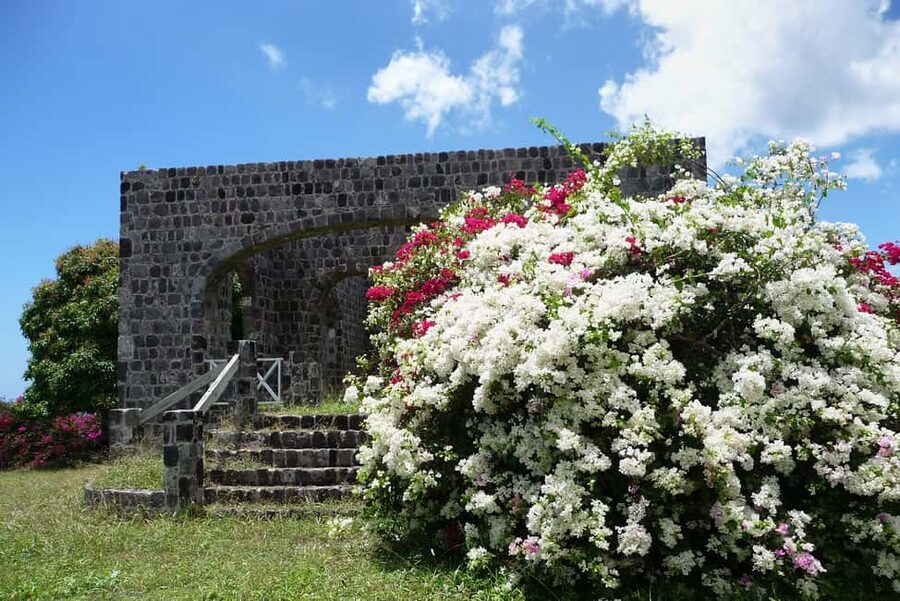 St. Kitts: Top Sights Guided Van or Open-Air Safari Tour - Wingfield Plantation and the complimentary rum