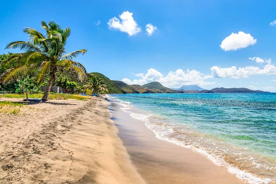 St. Kitts: Top Sights Guided Van or Open-Air Safari Tour - Romney Manor’s botanical gardens