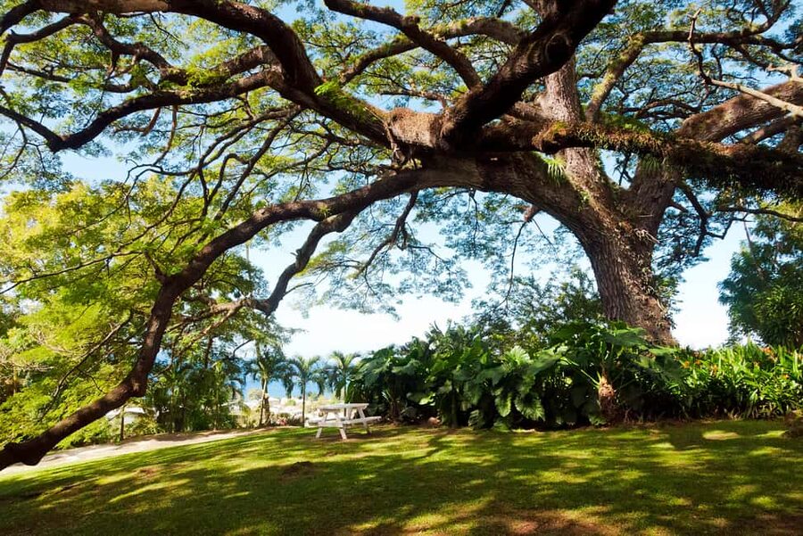 St. Kitts: Top Sights Guided Van or Open-Air Safari Tour - Frigate Bay gives you breathing room