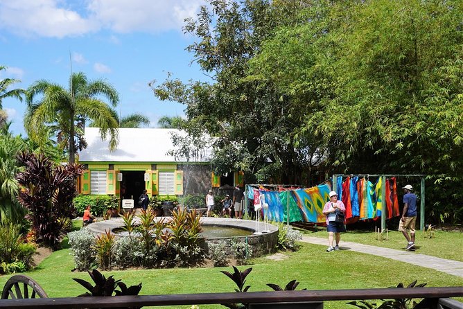 St Kitts Traditional Lunch & Half Day Island Tour - A short rainforest walk at Wingfield Estate