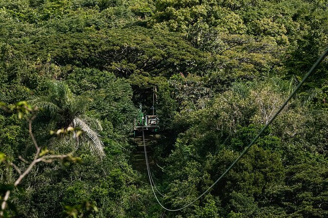 St. Kitts Zipline Experience - Flying above an old sugar estate