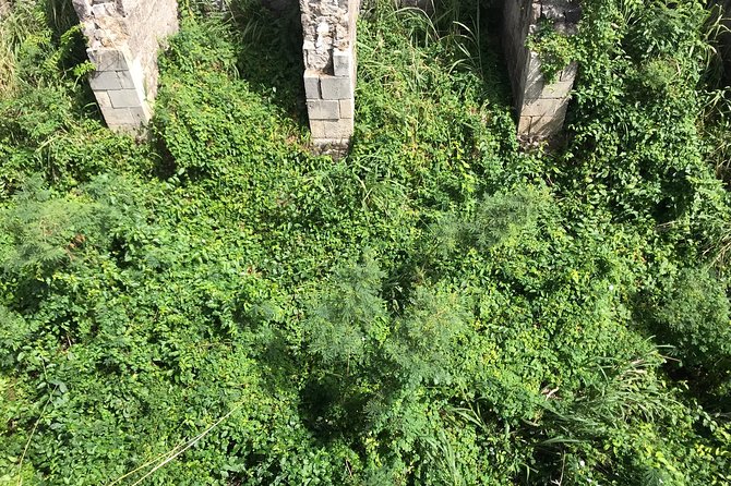 The Brimstone Hill Fortress Hike - The hike: brief, steep, and worth pacing