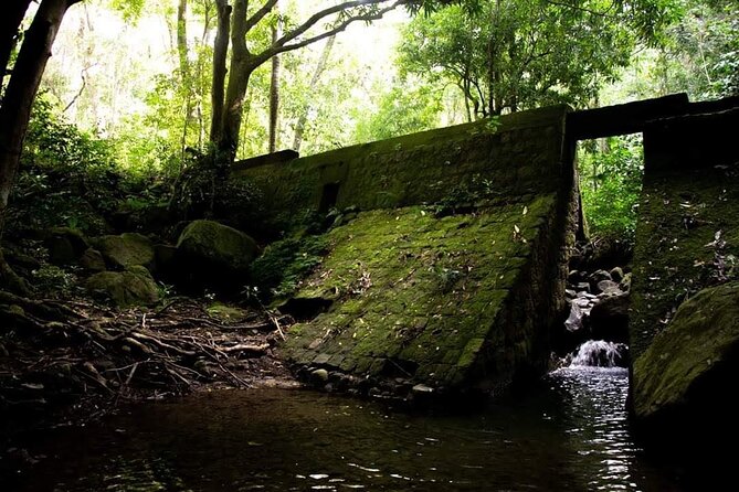 Tropical Rain Forest Explorer Hike In St. Kitts - Hearing about land once owned by free slaves