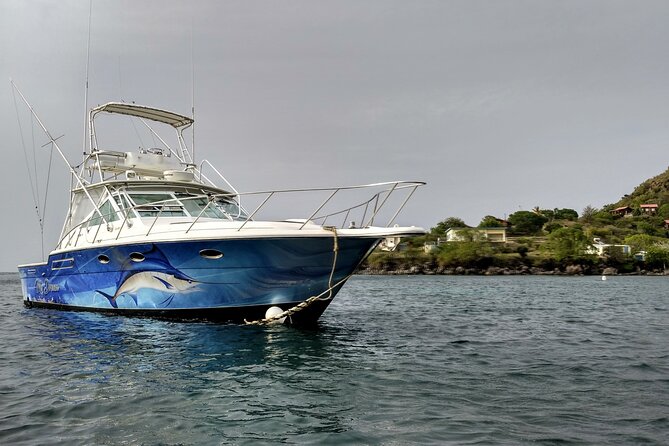 VIP Private Guided Scuba Diving/Snorkeling Excursion - Snorkeling, swimming, and time to do very little