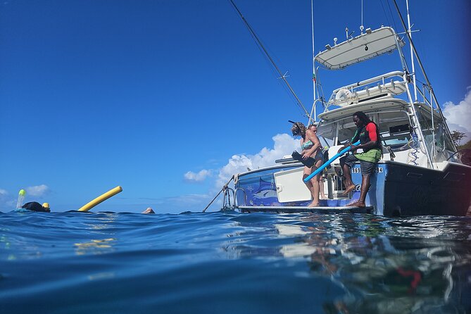 VIP Private Guided Scuba Diving/Snorkeling Excursion - Who gets the best value from $600 per person