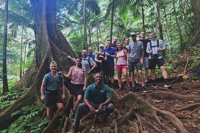 Volcano Caldera (Mt. Liamuiga) Trek / Hike - Challengers connects the route with freedom