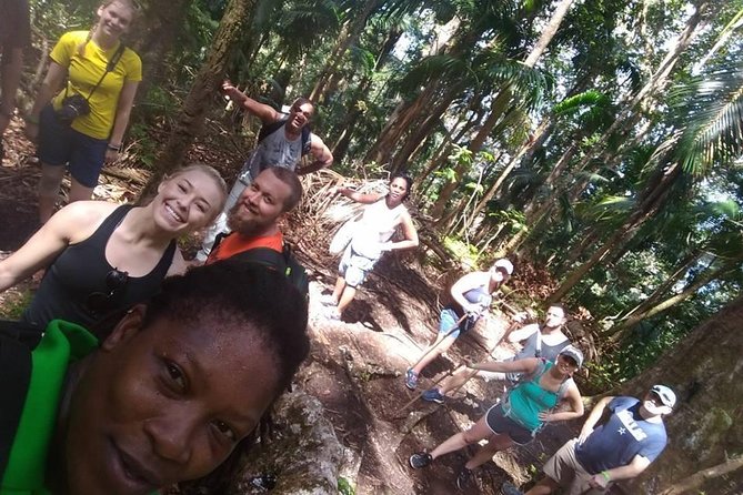 Volcano Caldera (Mt. Liamuiga) Trek / Hike - The crater rim is the day’s main reward