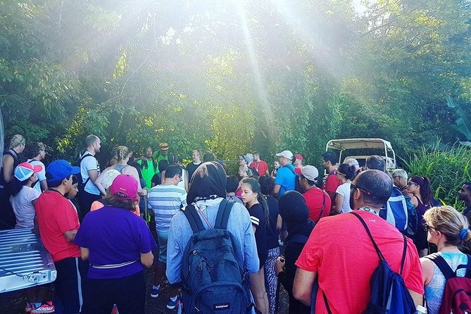Volcano Caldera (Mt. Liamuiga) Trek / Hike - The climb is for fit hikers, not casual walkers