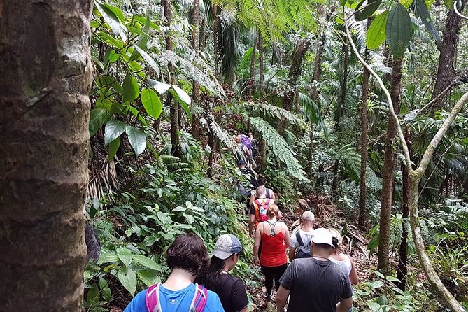 Volcano Crater Hiking Tour in St Kitts - What to wear and bring