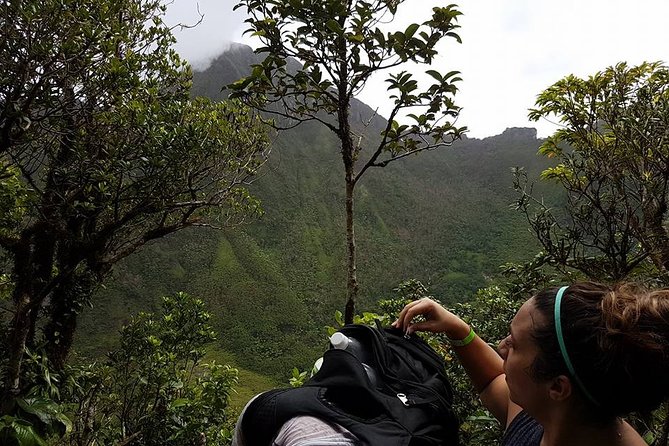 Volcano Crater Hiking Tour in St Kitts - Is $100 a fair price?
