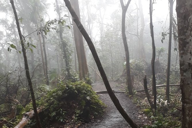 Volcano Crater Hiking Tour in St Kitts - Who should book this hike?
