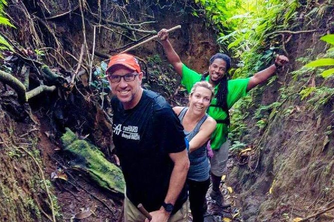 Volcano Crater Hiking Tour in St Kitts - The rainforest climb takes patience