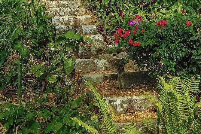 Wingfield Rainforest Adventure Hike and Caribelle Batik stop - Two sides of St Kitts in three hours