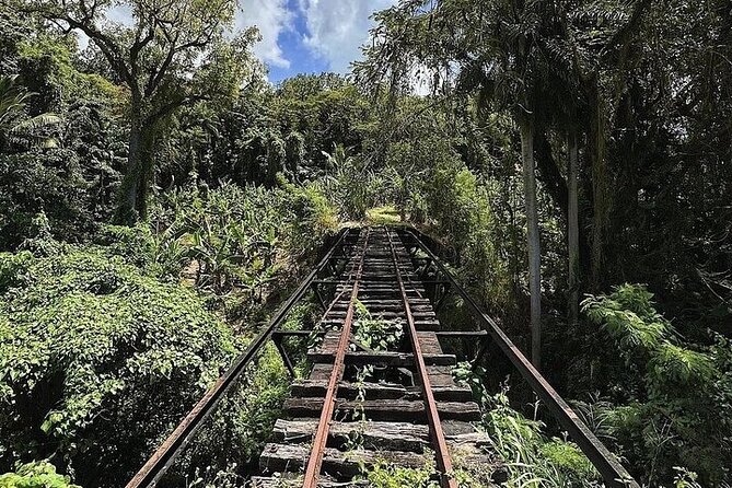 Wingfield Rainforest Adventure Hike and Caribelle Batik stop - Group size, pickup, and transport